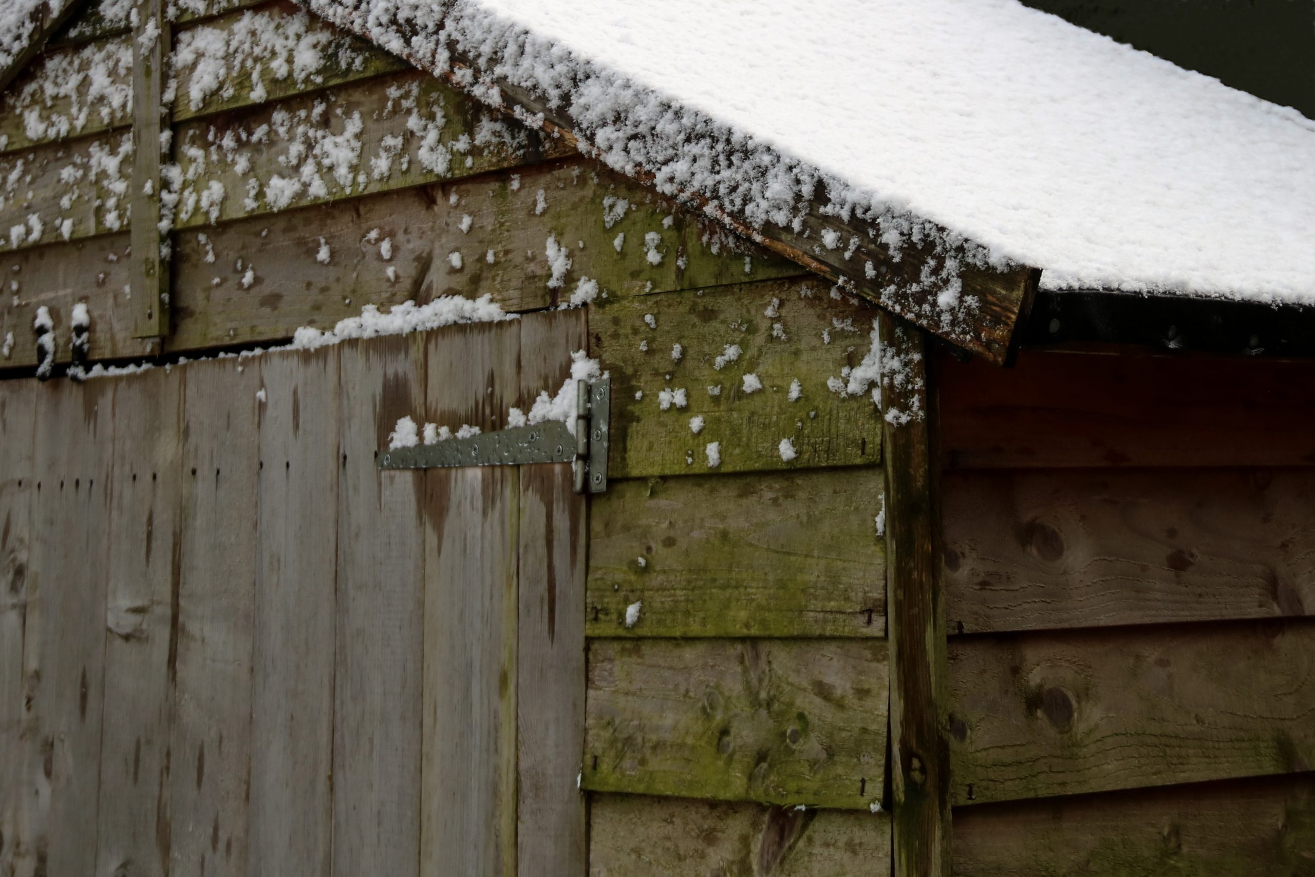 Garden Shed